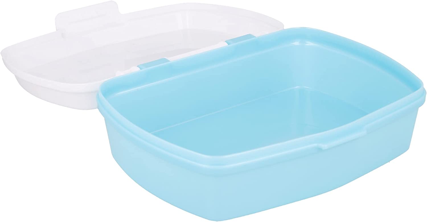 Euromic - Sandwich Box - Frozen (088808745-51074)