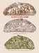 Super Sourdough