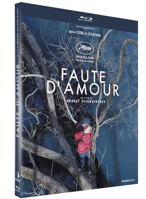 Faute d'amour [FR Import]
