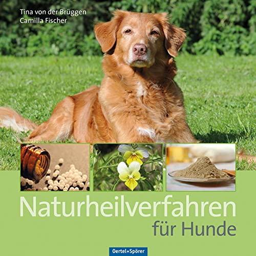 Naturheilverfahren fur Hunde