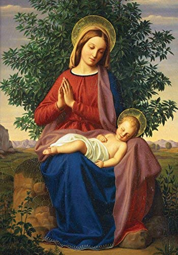 Madonna And Child Boxed Holiday Half Notecards