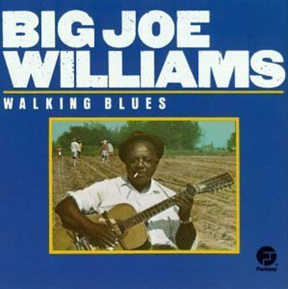 Williams Big Joe - Walking Blues CD
