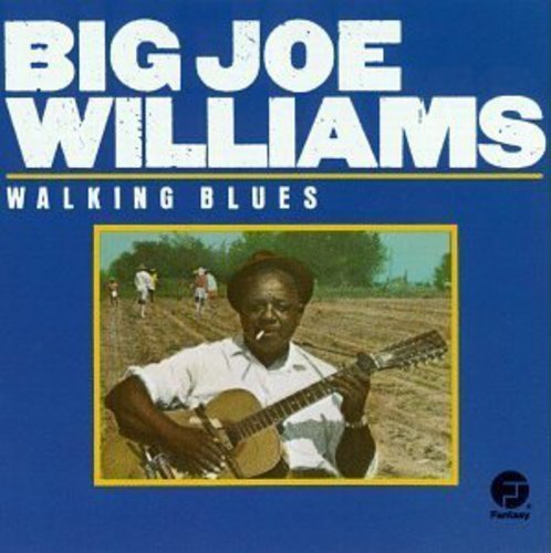 Williams Big Joe - Walking Blues CD