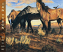 Songs from the Gravel Road