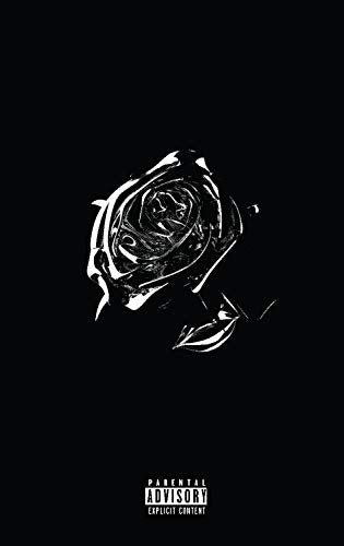 Shoot For The Stars Aim For The Moon X Rsd