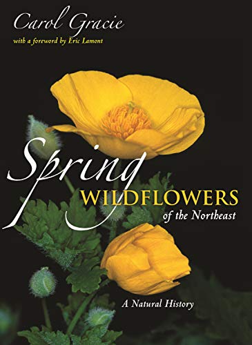 Spring Wildflowers of the Northeast