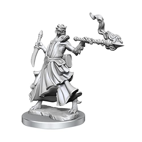 D&D Frameworks: Dragonborn Sorcerer Female