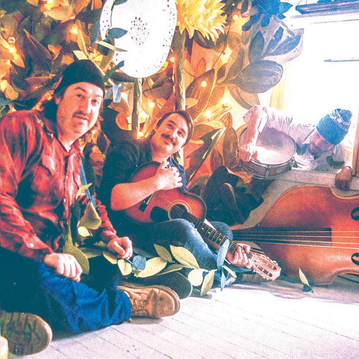 Growing Like A Weed A Collection Of Songs And Midwest Daydreams Part 2