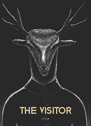 The Visitor