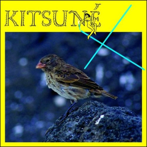 Kitsun X