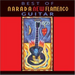 Best Of Narada New Flamenco Guitar