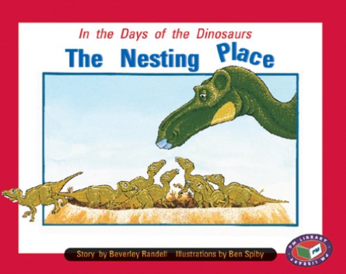 Pm Turquoise: The Nesting Place Pm Story