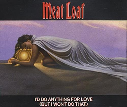 I'd Do Anything For Love (But I Won't Do That)