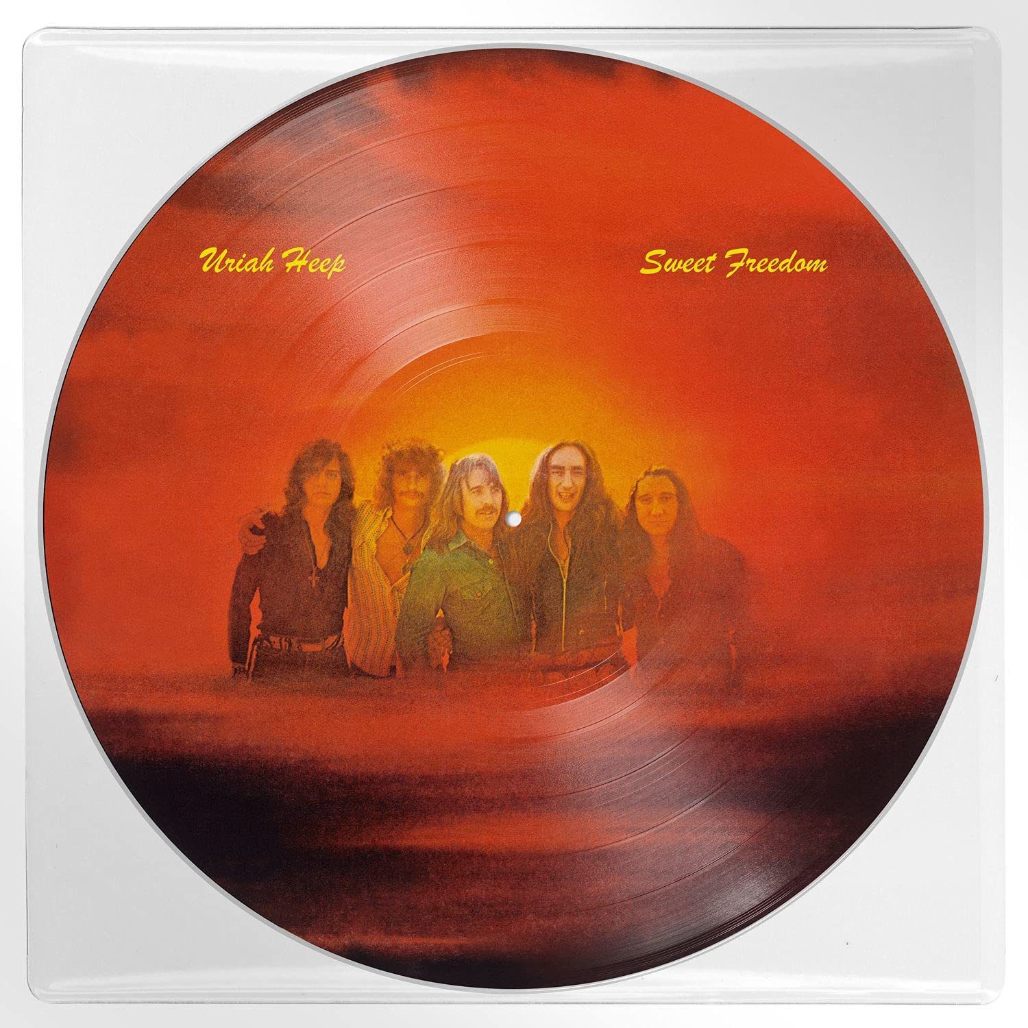 Every Day Rocks: 7LP Picture Discs + 7 T-Shirts (XL)