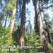 Trees Rise (CD-RP)