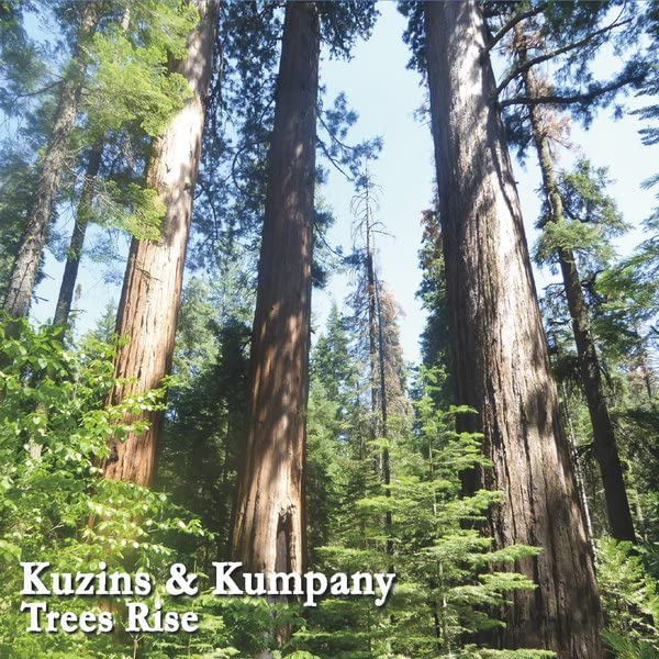 Trees Rise (CD-RP)