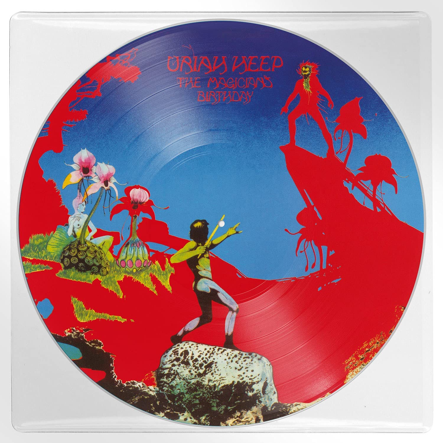 Every Day Rocks: 7LP Picture Discs + 7 T-Shirts (XL)