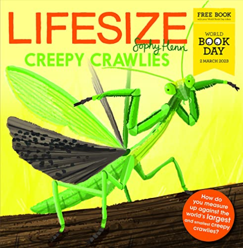 Lifesize Creepy Crawlies