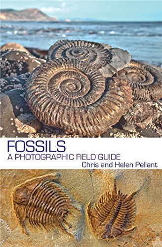 Pellant Chris - Fossils (A Photographic Field Guide) BOOK