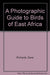 A photographic guide to Birds of East Africa