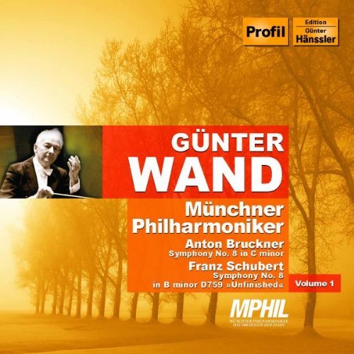 Symphony No. 8 in C Minor/symphony No. 8 in B Minor (Wand)