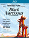Black Narcissus