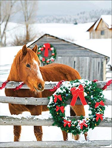 Barn Horse Boxed Holiday Full Notecards
