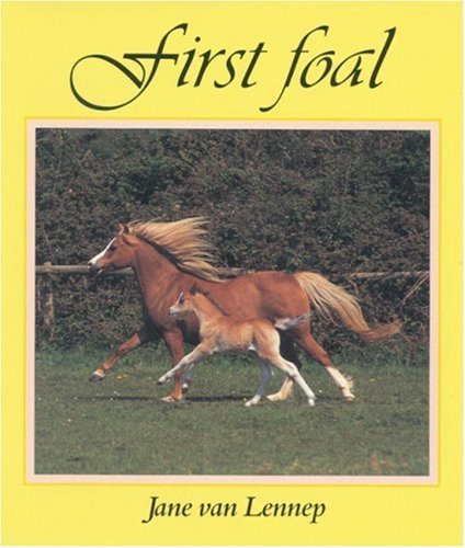 First Foal