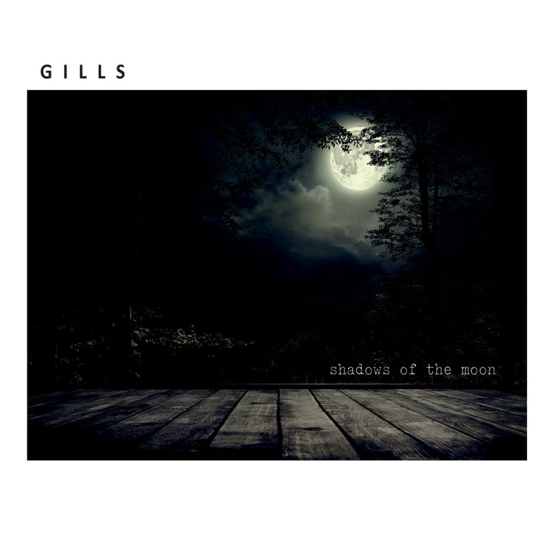 Shadows Of The Moon