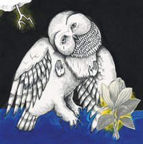 Magnolia Electric Co..