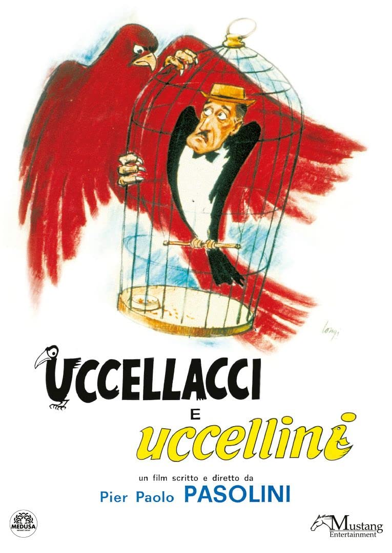 Uccellacci e uccellini