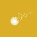 Dandelions