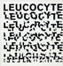 Leucocyte