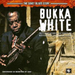 The Sonet Blues Story: Bukka White