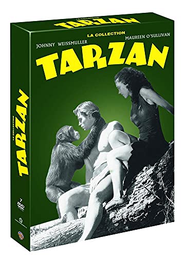 Tarzan-Integrale (Region 2)