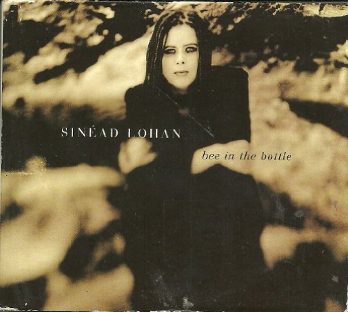 bee in the bottle / did i do the right thing / and the light -