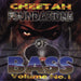 Foundations of Bass