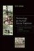 Technology as Human Social Tradition