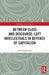 Between Class and Discourse: Left Intellectuals in Defence of Capitalism