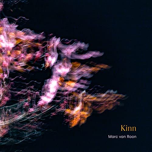 Kinn