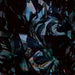 Night Sky EP