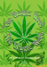 Magic Weed