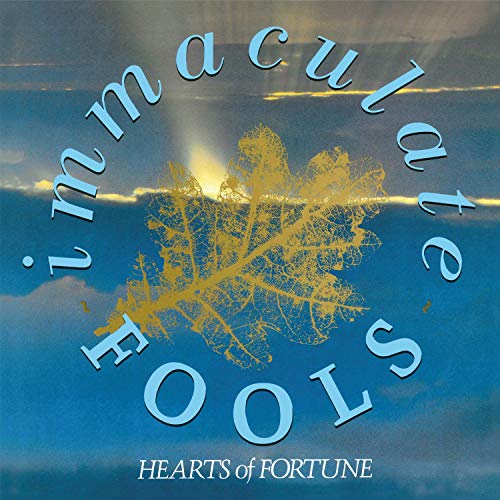 Hearts Of Fortune (Grey