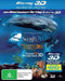 Dolphins and Whales / Ocean Wonderland / Sharks (3D Blu-ray/Blu-ray) Blu-ray