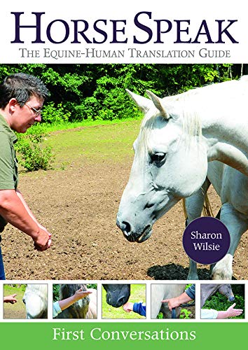 Horse Speak: An Equine-Human Translation Guide