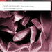 Rued Langgaard: Rose Garden Songs