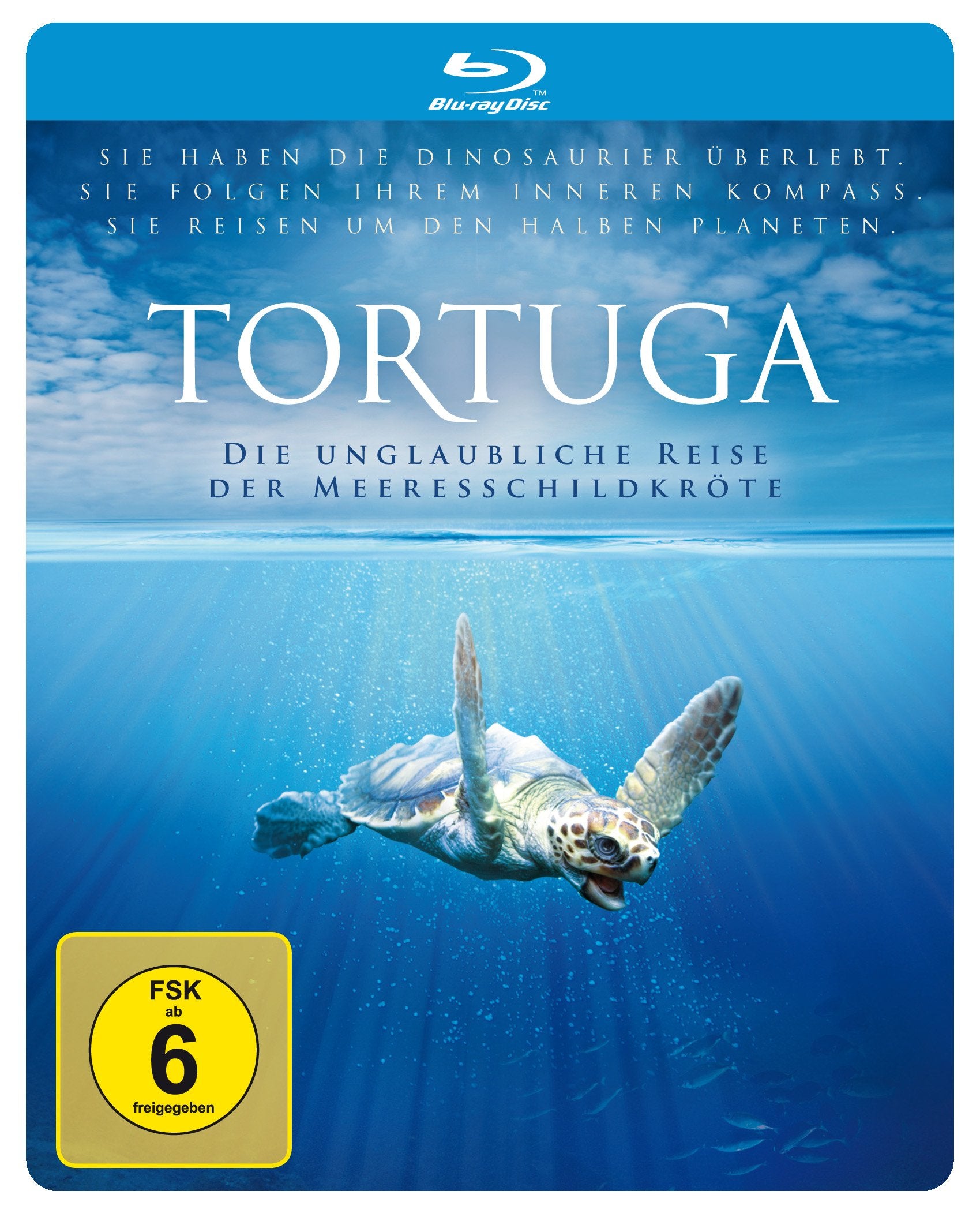 Tortuga - Die unglaubliche Reise der Meeresschildkröte
