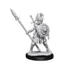 D&D Frameworks: Human Fighter Female