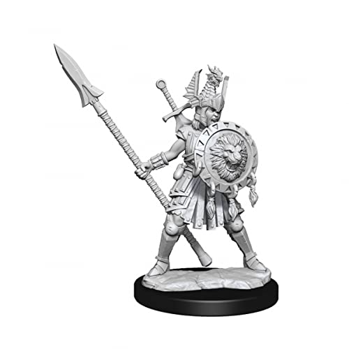 D&D Frameworks: Human Fighter Female