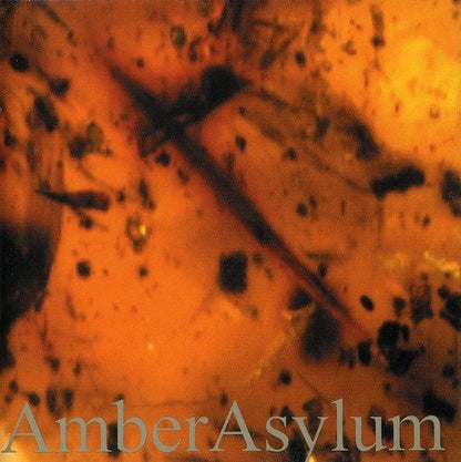Frozen in Amber